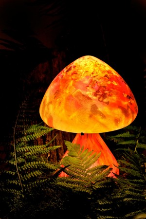 champignon de La Rochère