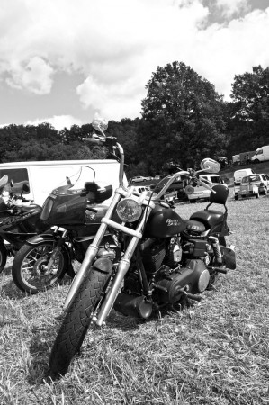 Une Harley Davidson dans un champ